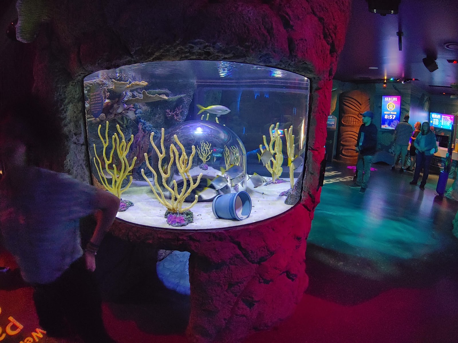 SEA LIFE Orlando Aquarium — Oficiais