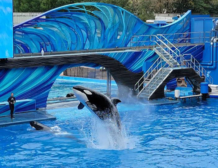 SeaWorld Orlando — Oficiais