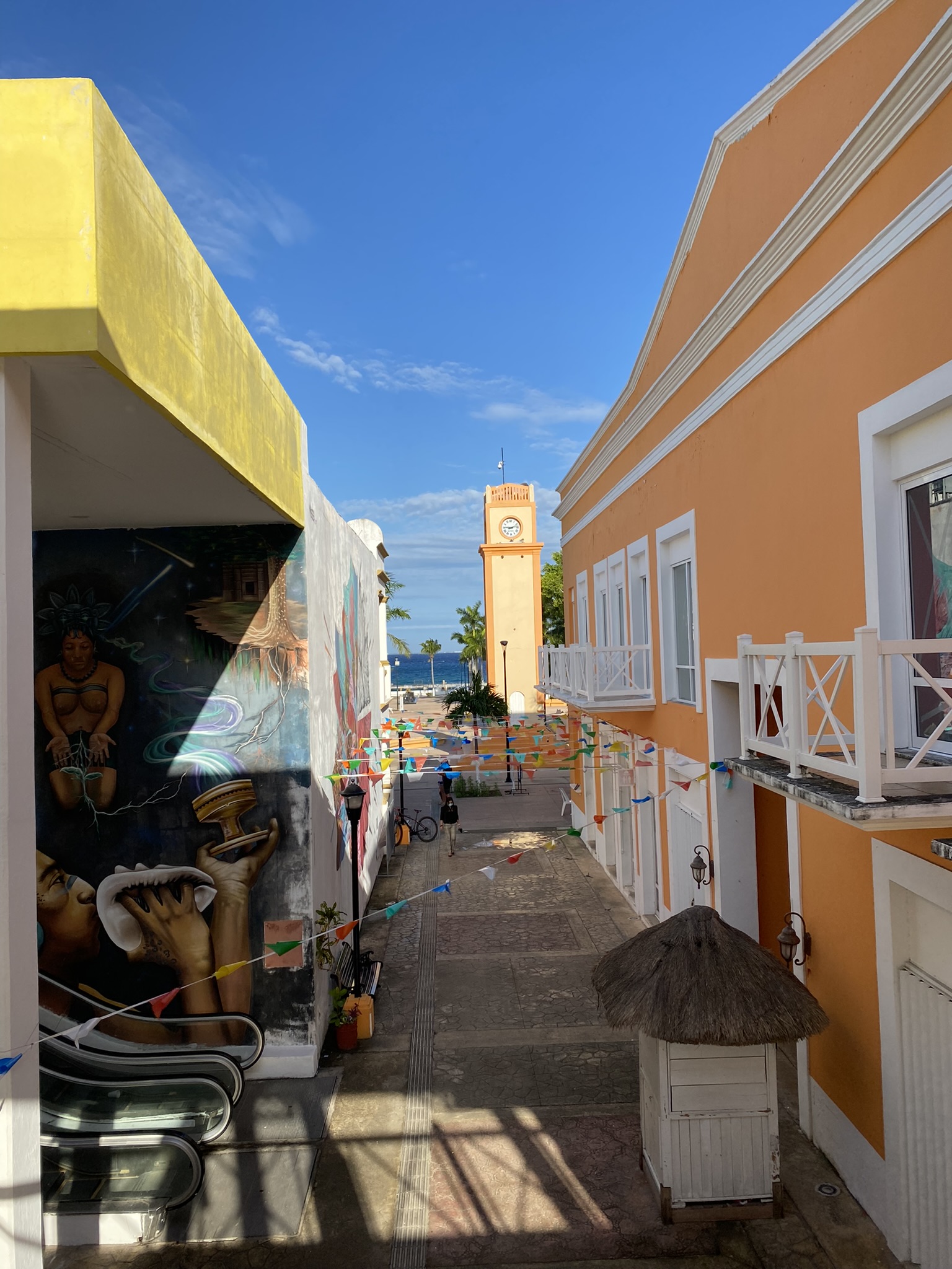 Semarnat Conanp Parque Nacional Arrecifes de Cozumel — Oficiais