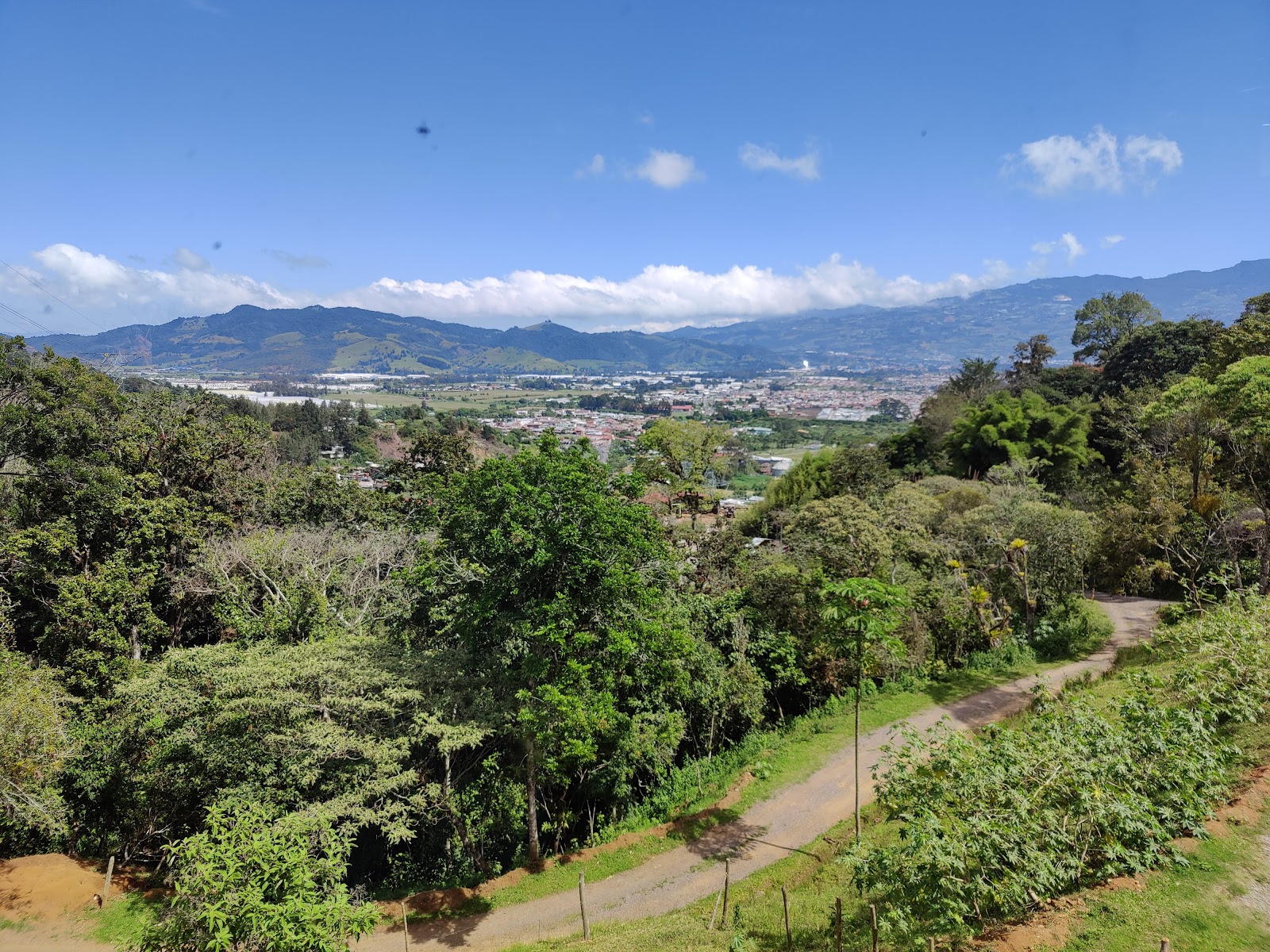 Sendero Oropéndola — Oficiais