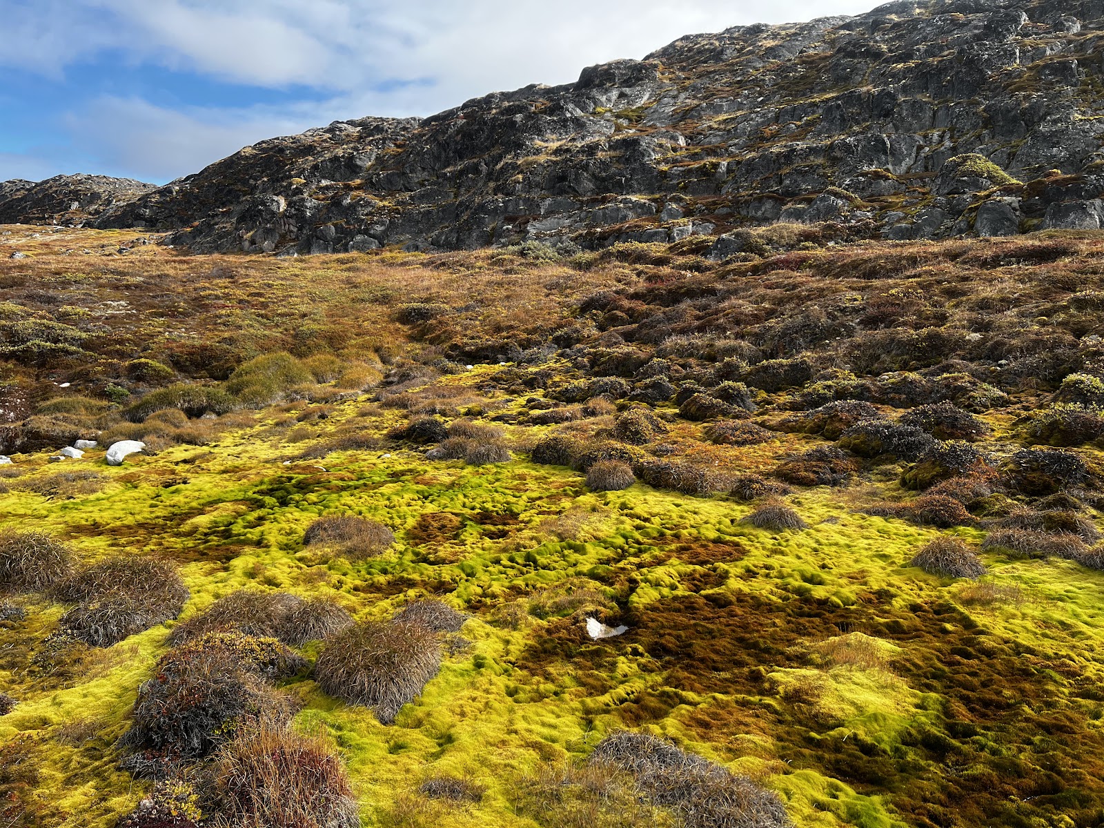 Sermermiut — Oficiais