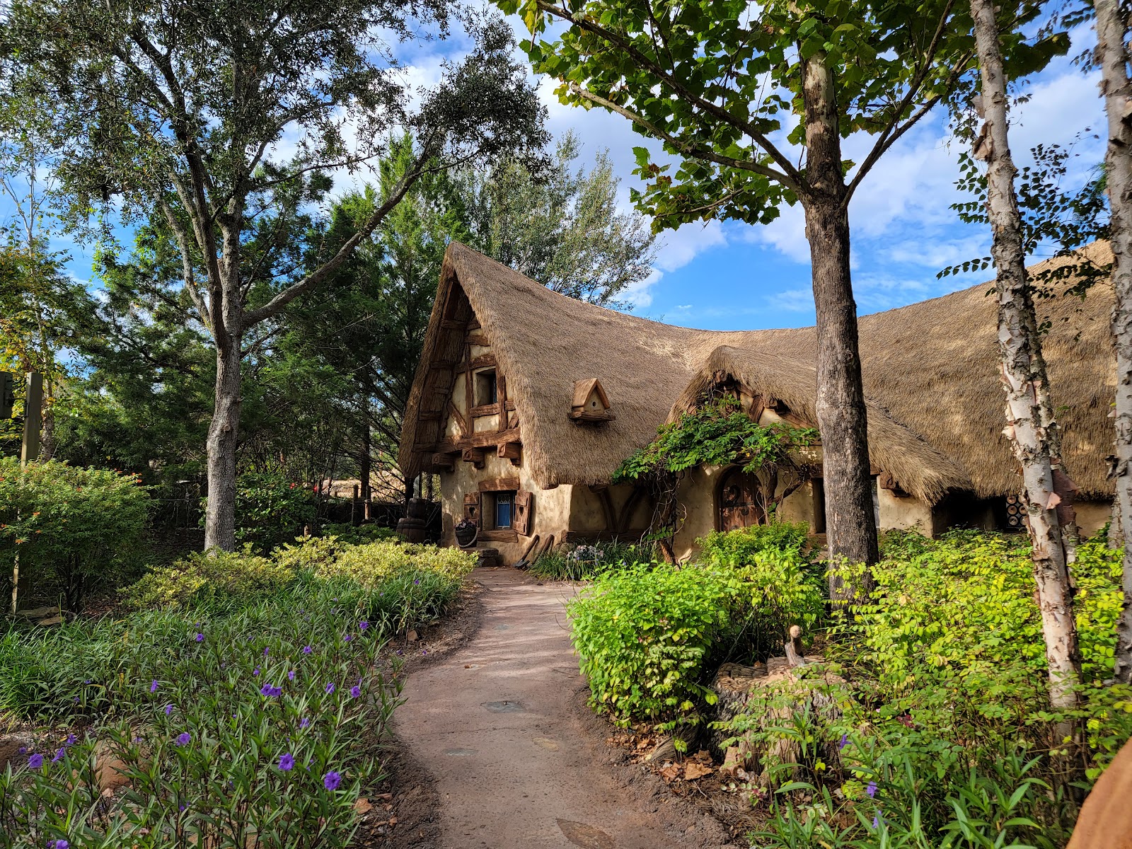Seven Dwarfs Mine Train — Oficiais