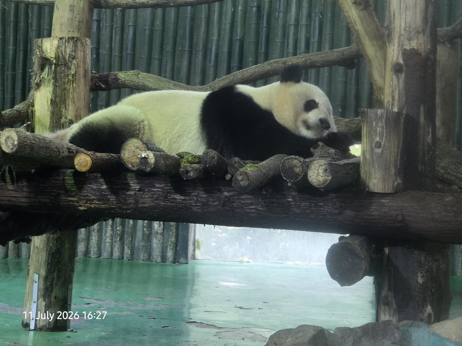 Shanghai Zoo