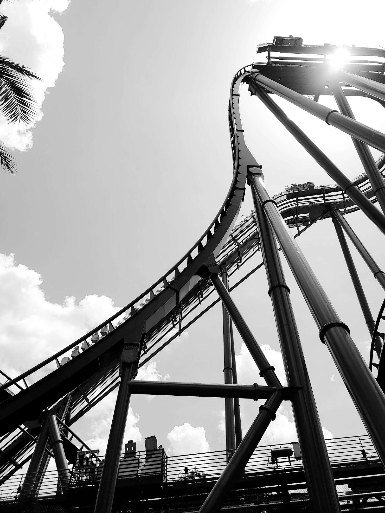 SheiKra — Oficiais