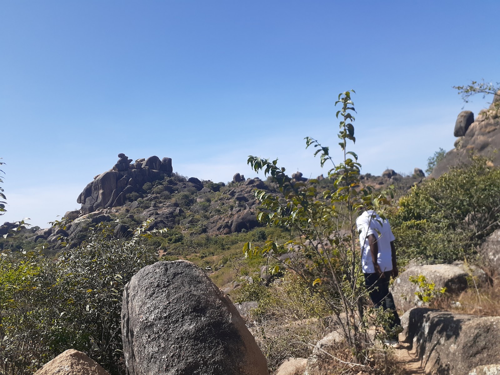 Shere Hills — Oficiais