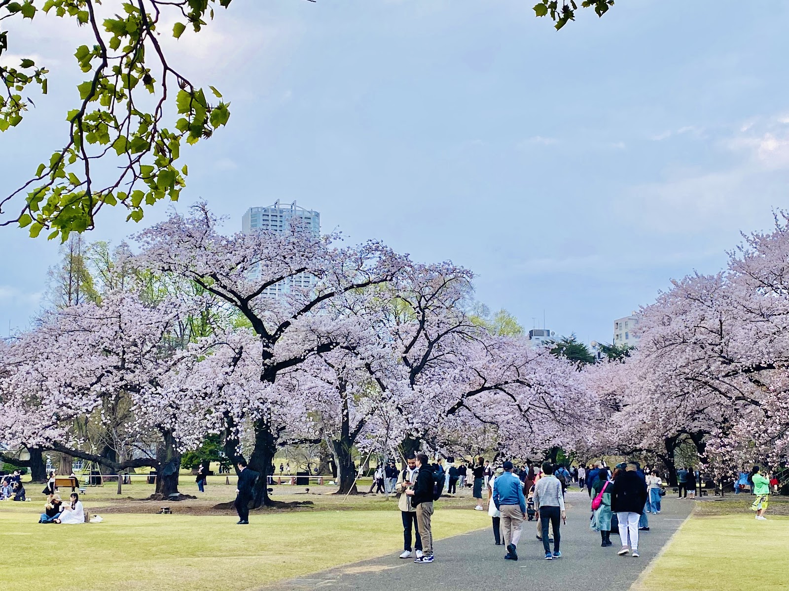 Shinjuku Gyoen — Oficiais