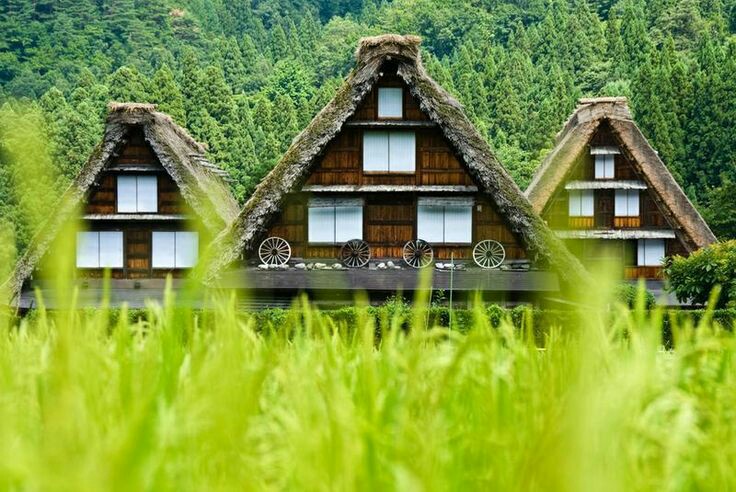 Shirakawa — Oficiais