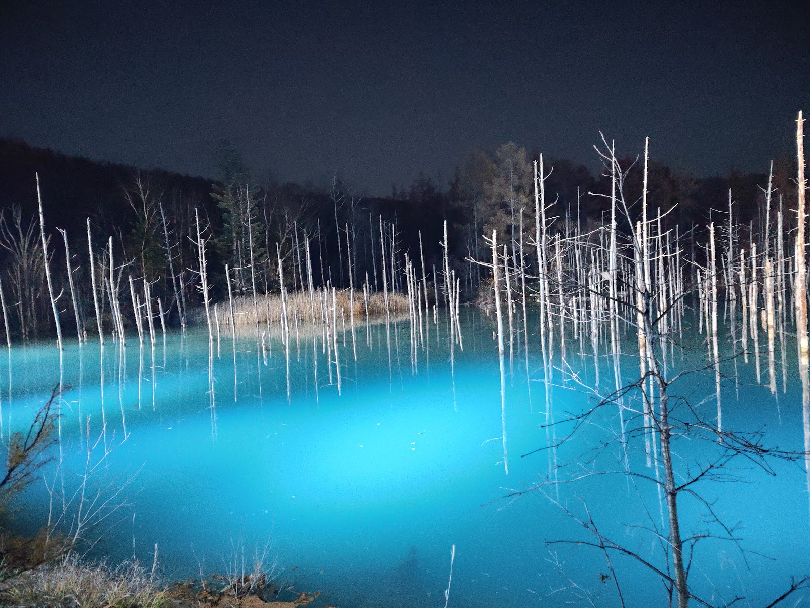 Shirogane Blue Pond (Aoiike) — Oficiais