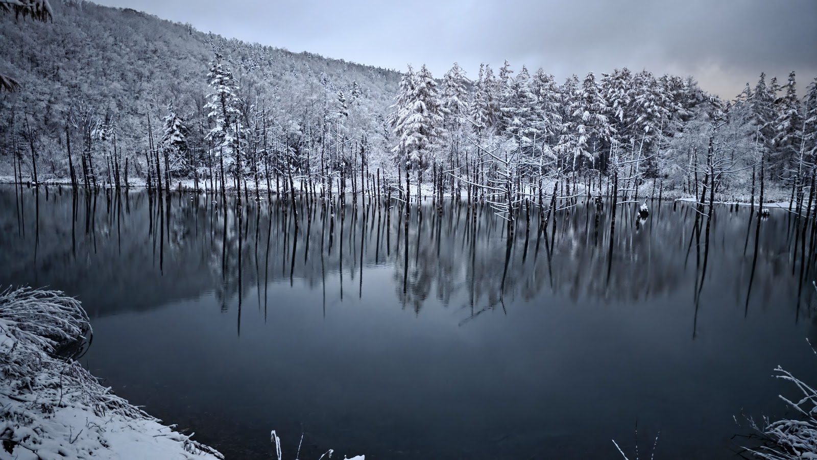 Shirogane Blue Pond (Aoiike) — Oficiais