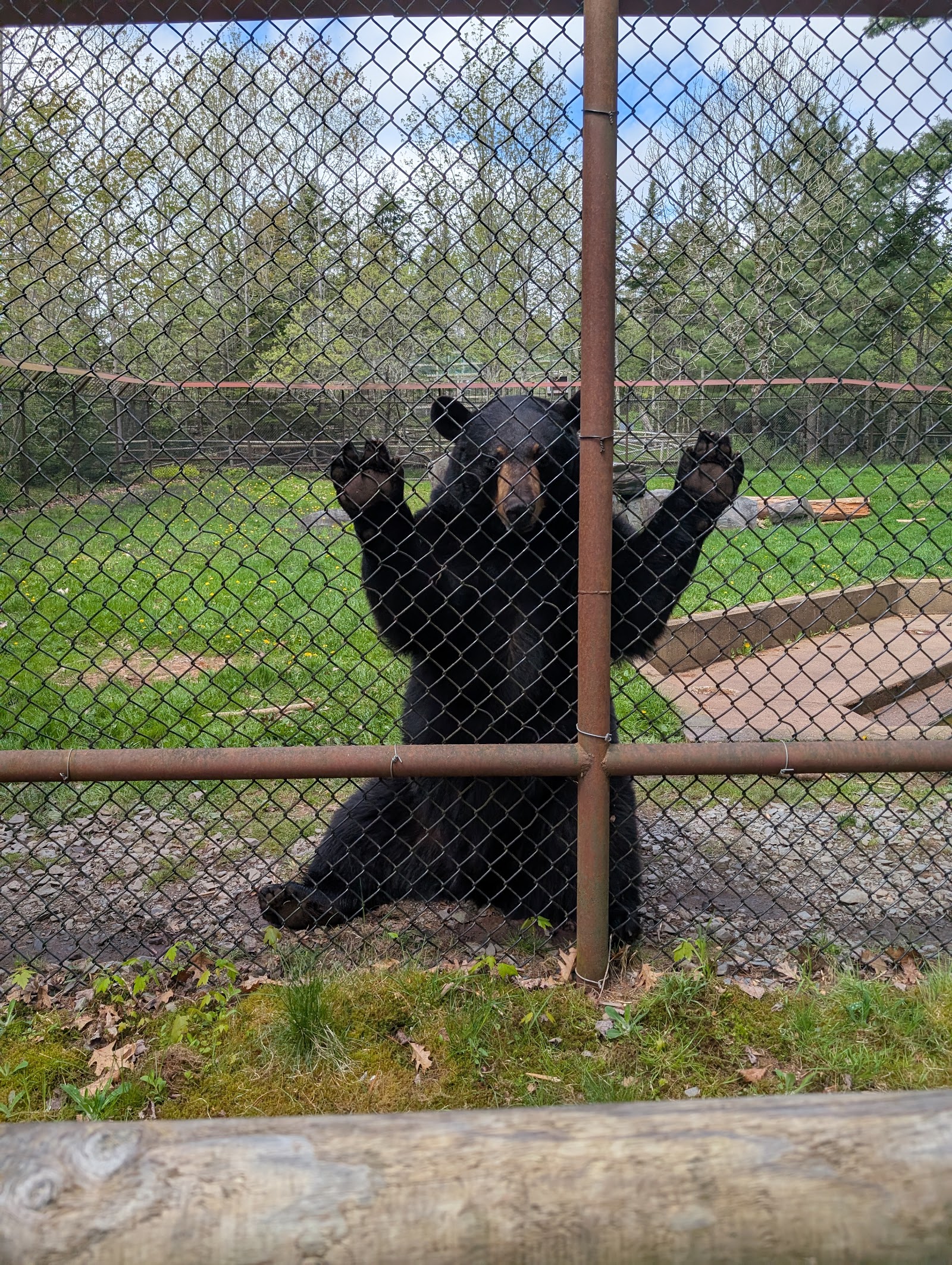 Shubenacadie Provincial Wildlife Park — Oficiais