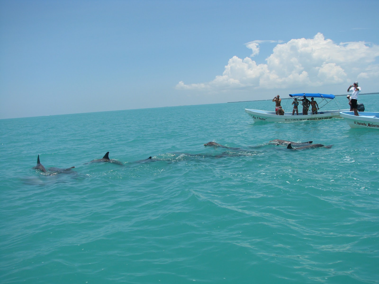 Sian Ka'an — Oficiais