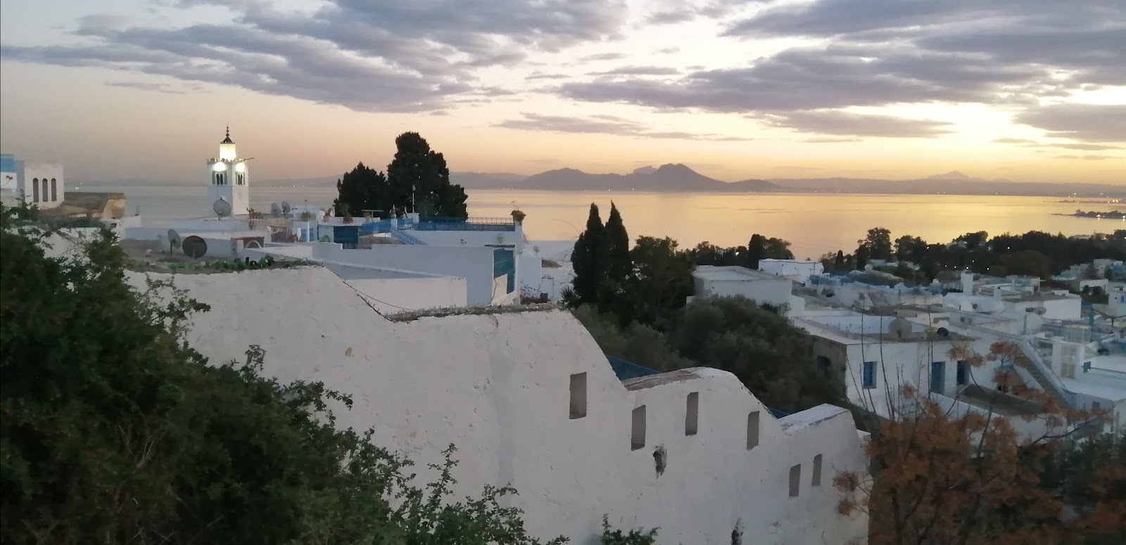 Sidi Bou Said — Oficiais