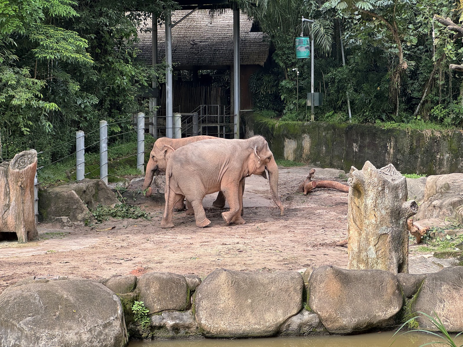 Singapore Zoo — Oficiais