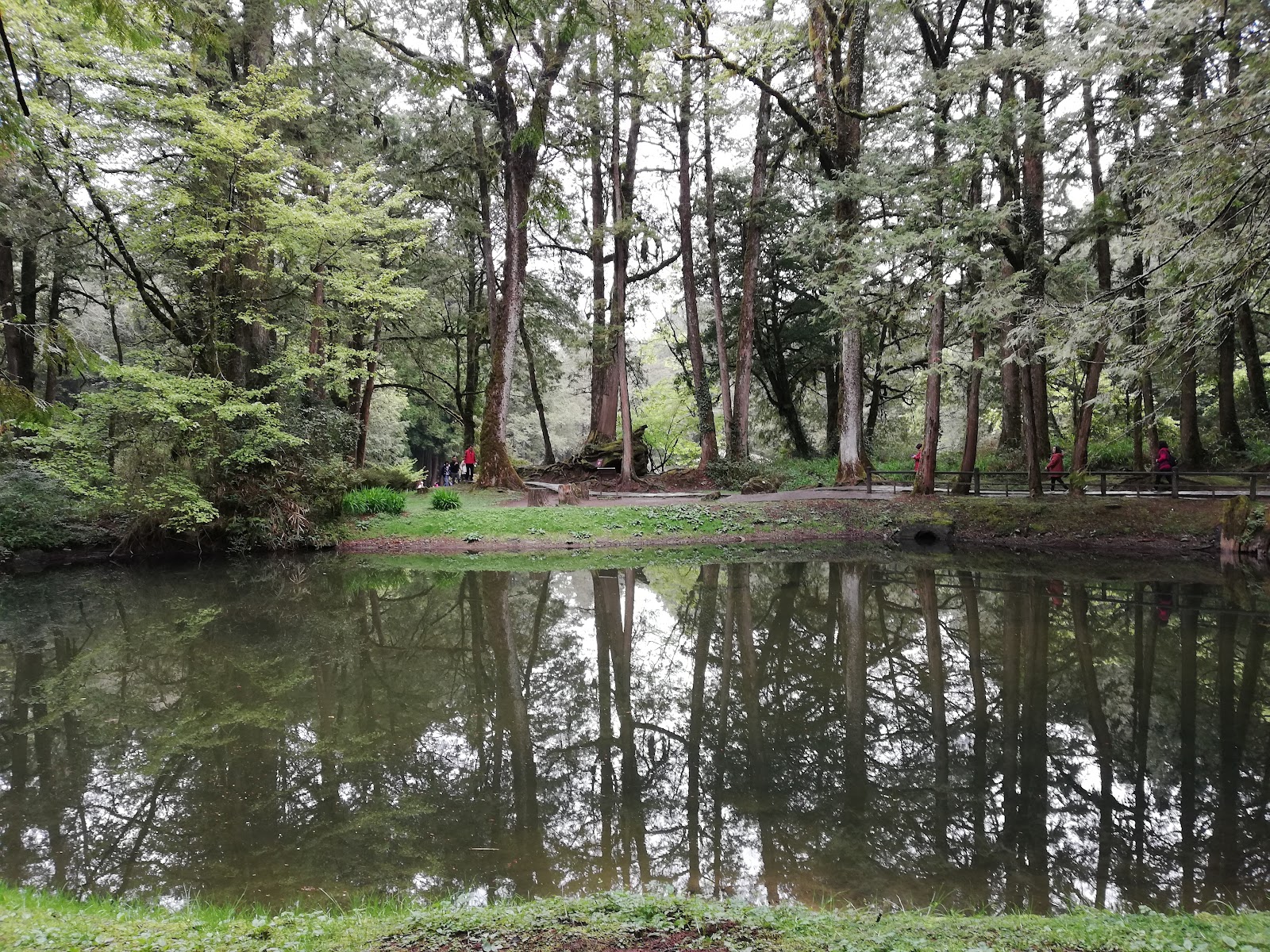 Sisters Ponds — Oficiais