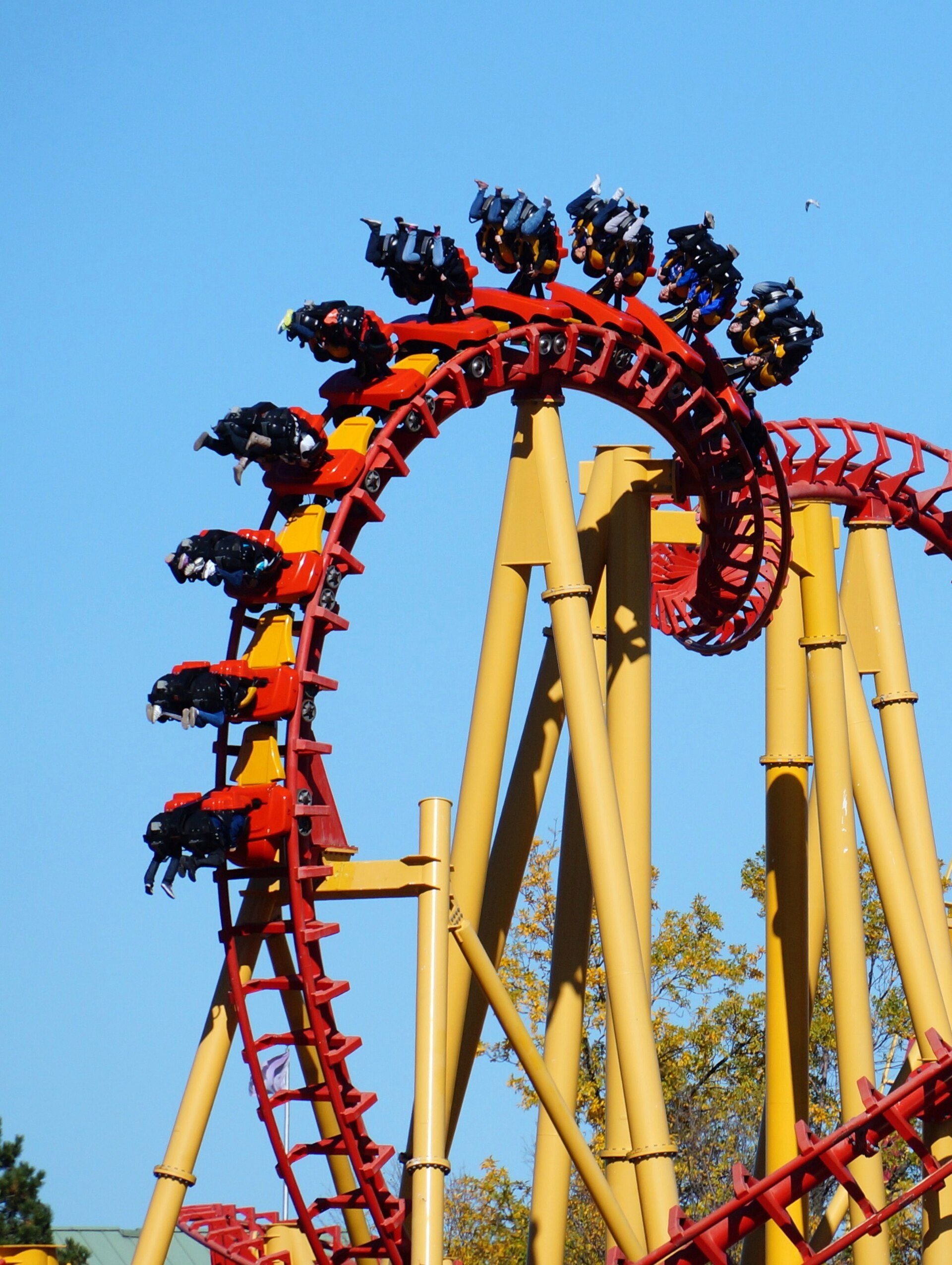 Slingshot