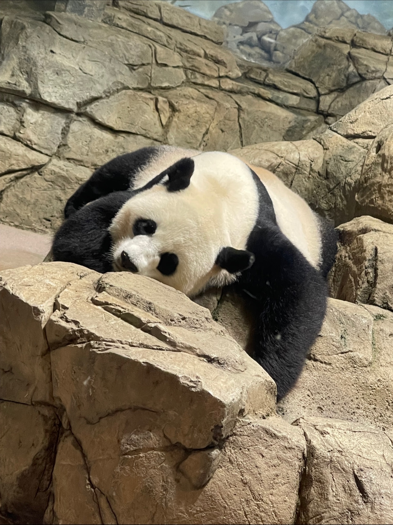 Smithsonian National Zoological Park — Oficiais
