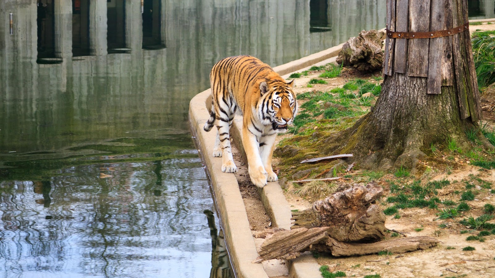 Smithsonian National Zoological Park — Oficiais