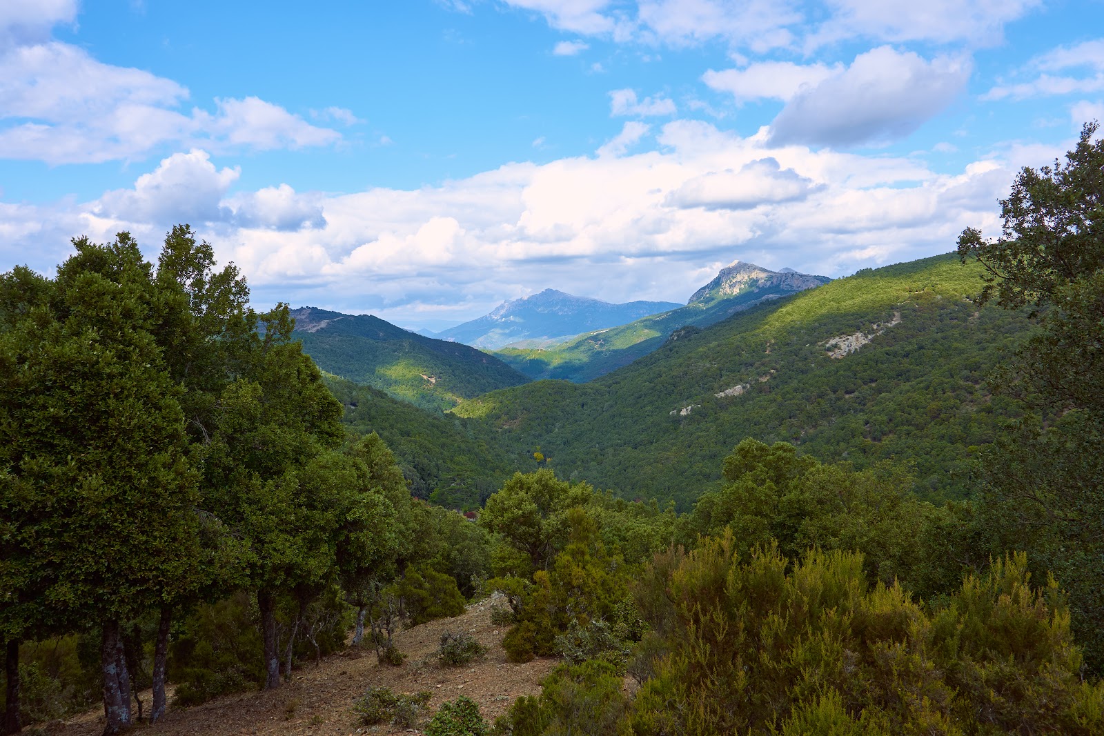 Supramonte di Orgosolo — Oficiais