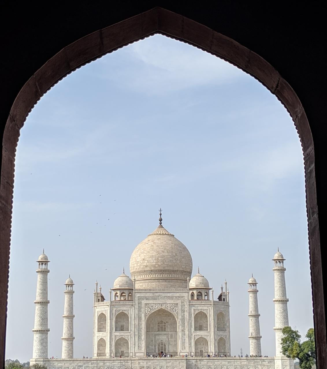 Taj Mahal — Oficiais