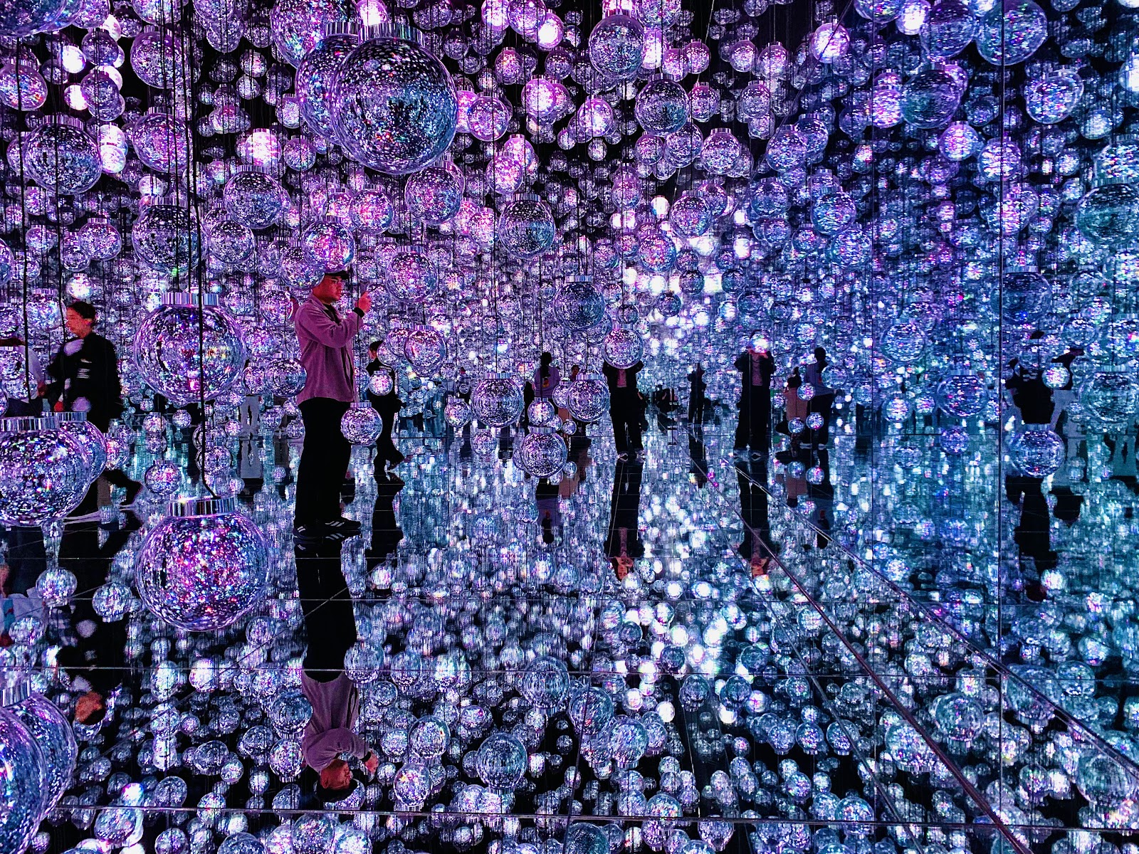 teamLab Borderless: MORI Building DIGITAL ART MUSEUM — Oficiais