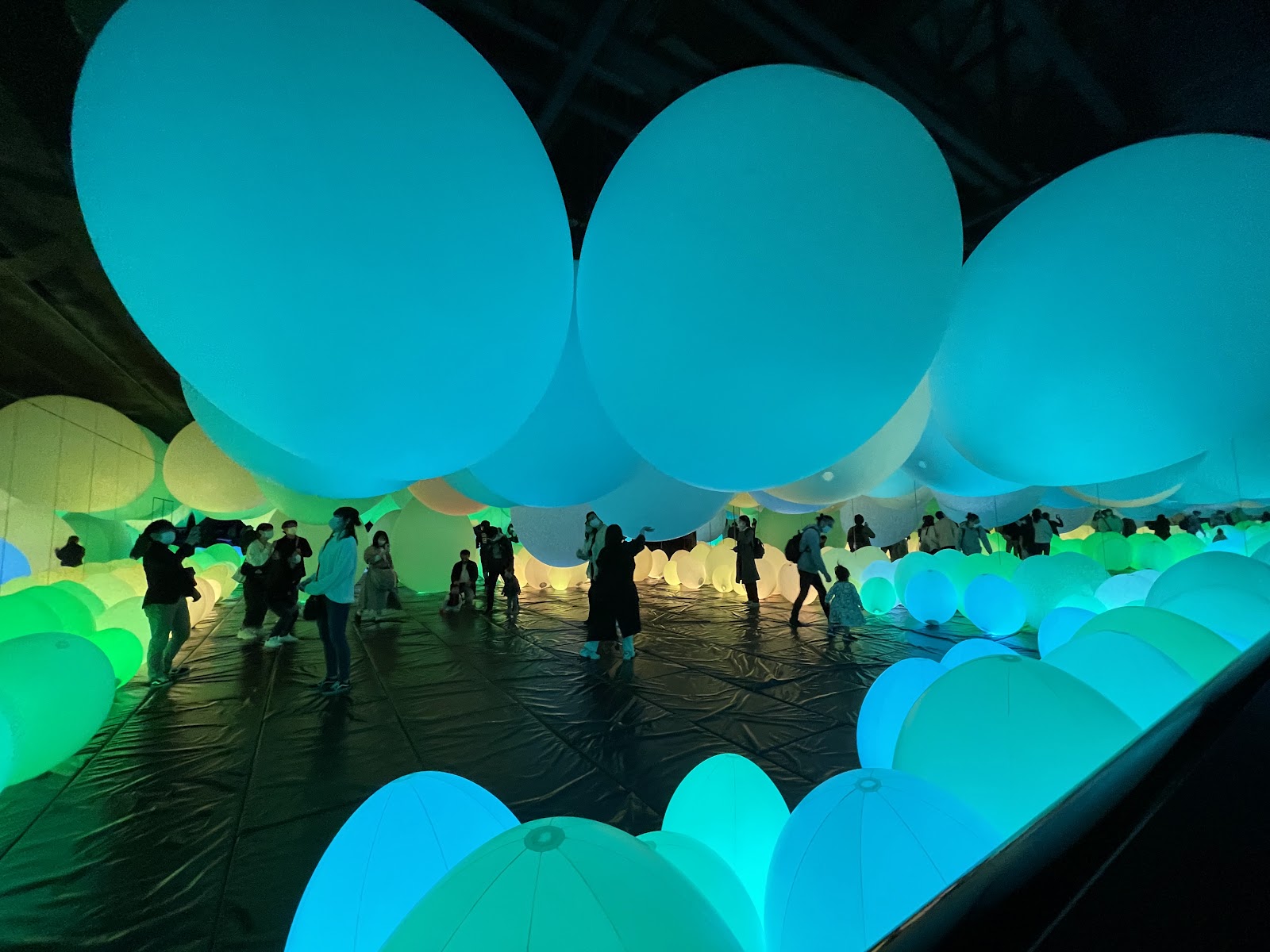 teamLab Borderless: MORI Building DIGITAL ART MUSEUM — Oficiais