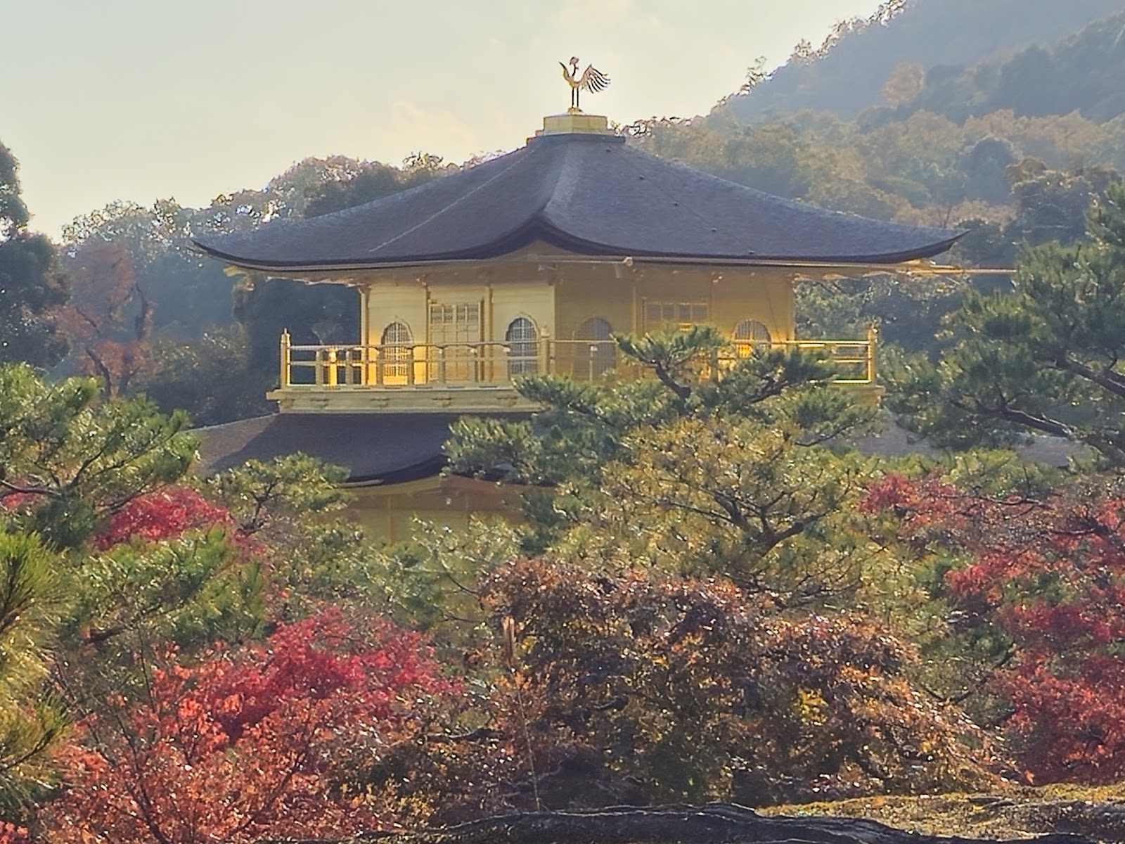 Templo do Pavilhão Dourado — Oficiais