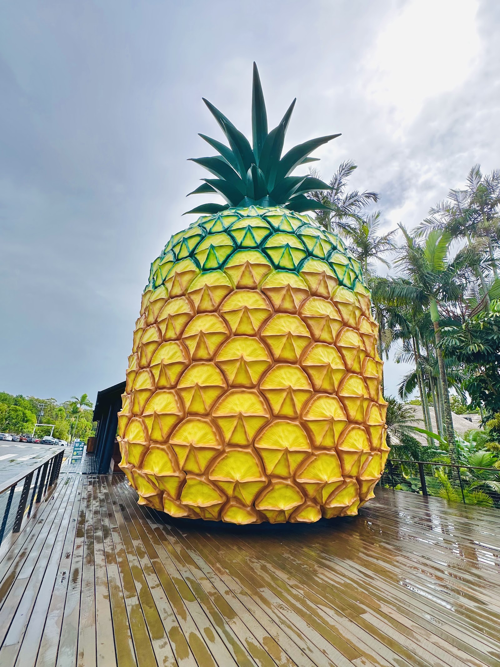The Big Pineapple Cafe