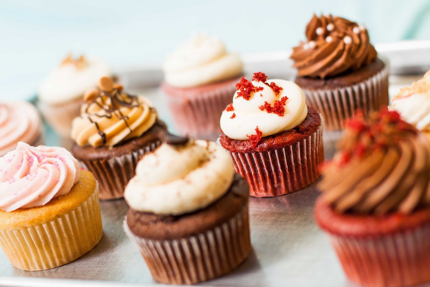 The Cupcake Cafe