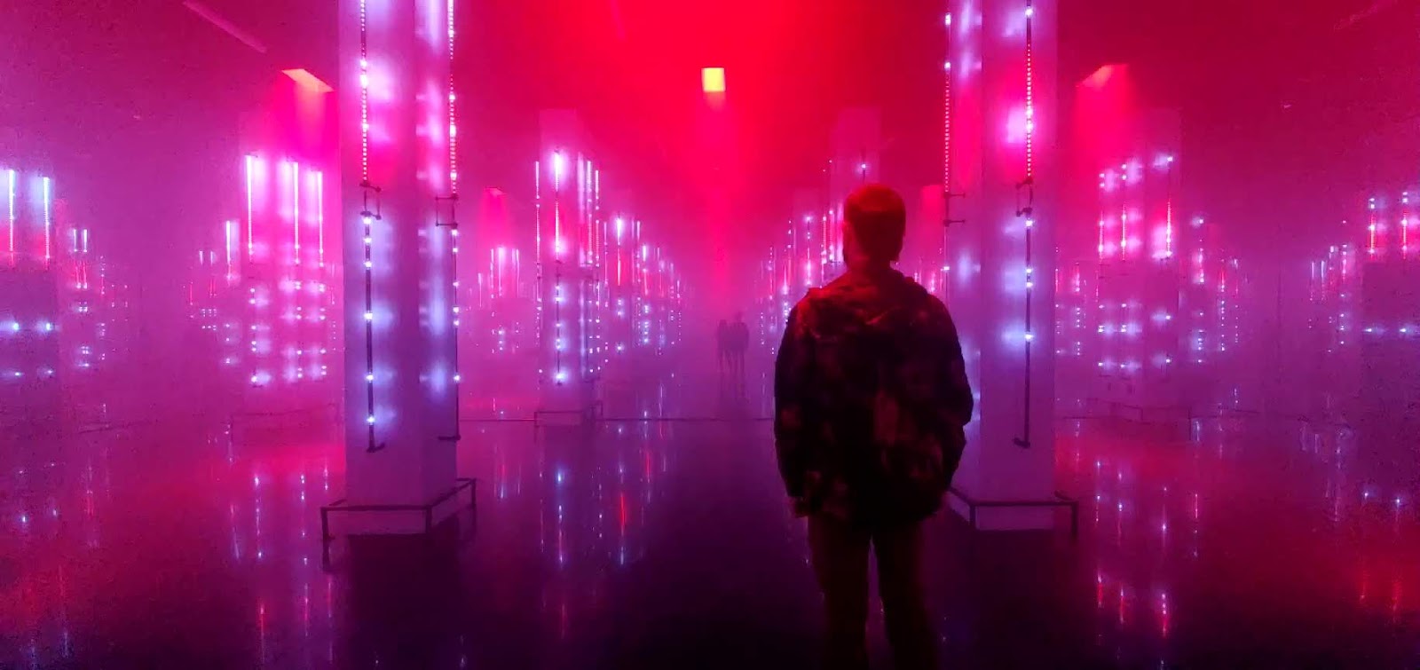 The Museum Fiasco