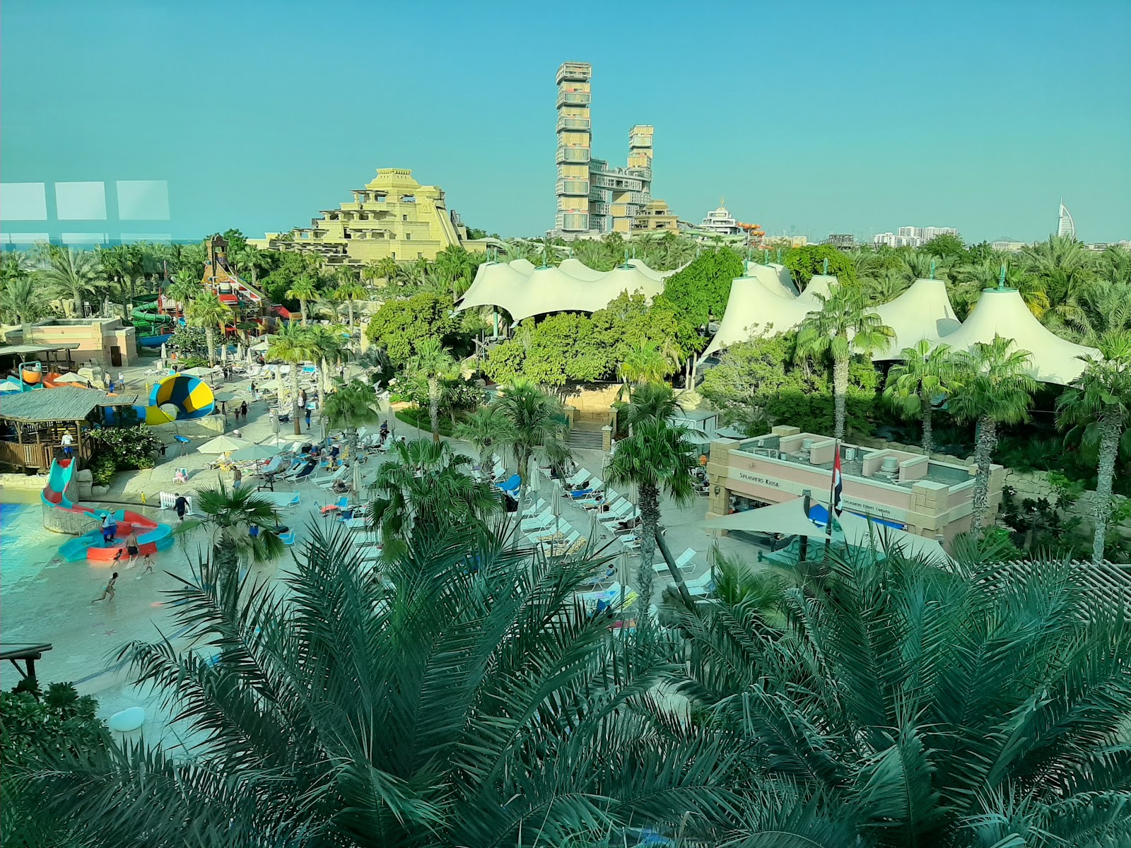 The Palm