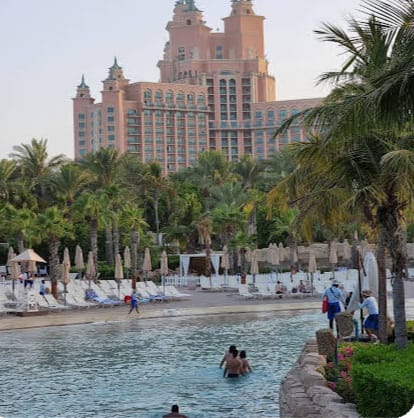 The Palm — Oficiais