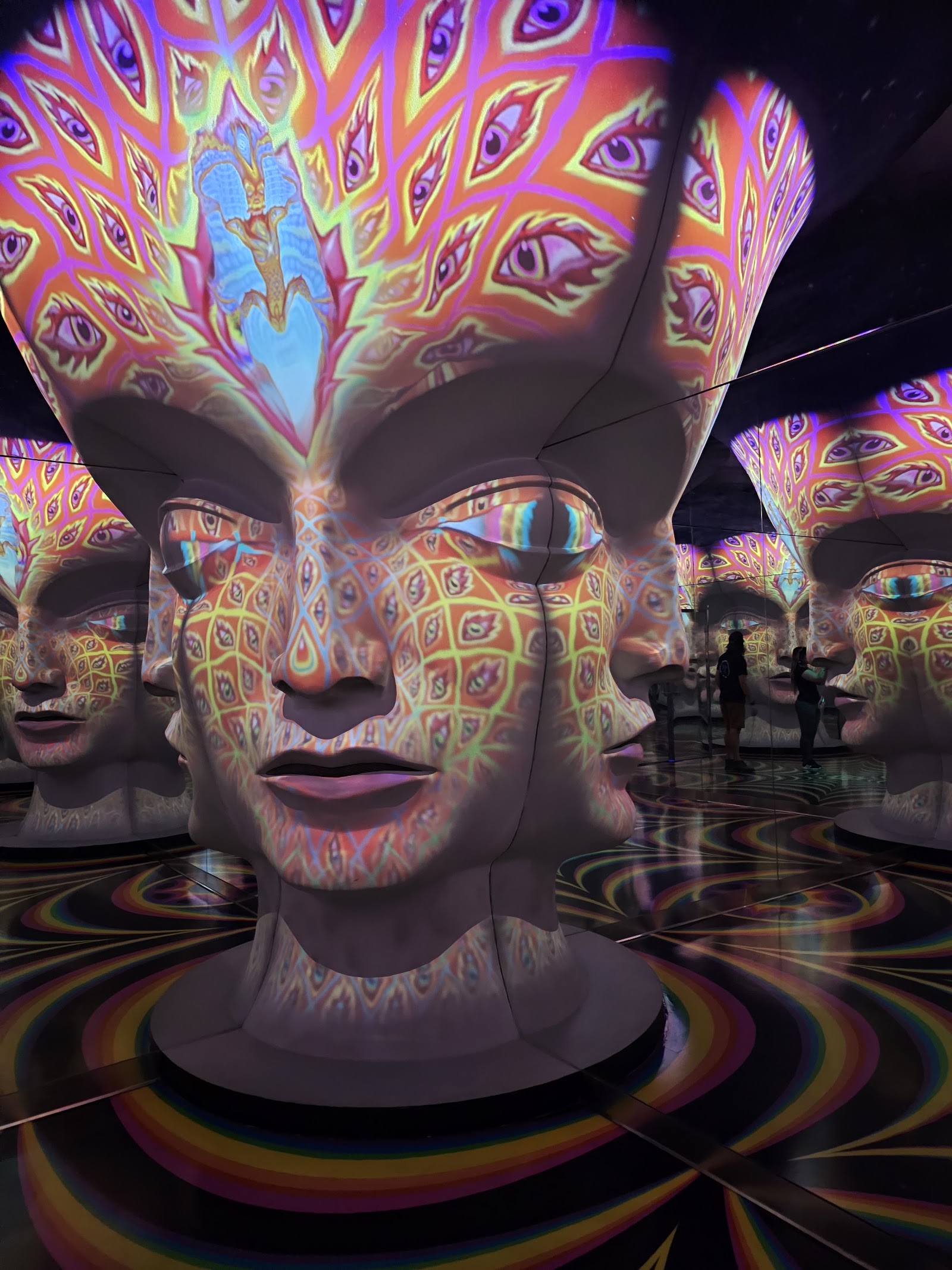 The Perplexiplex — Oficiais