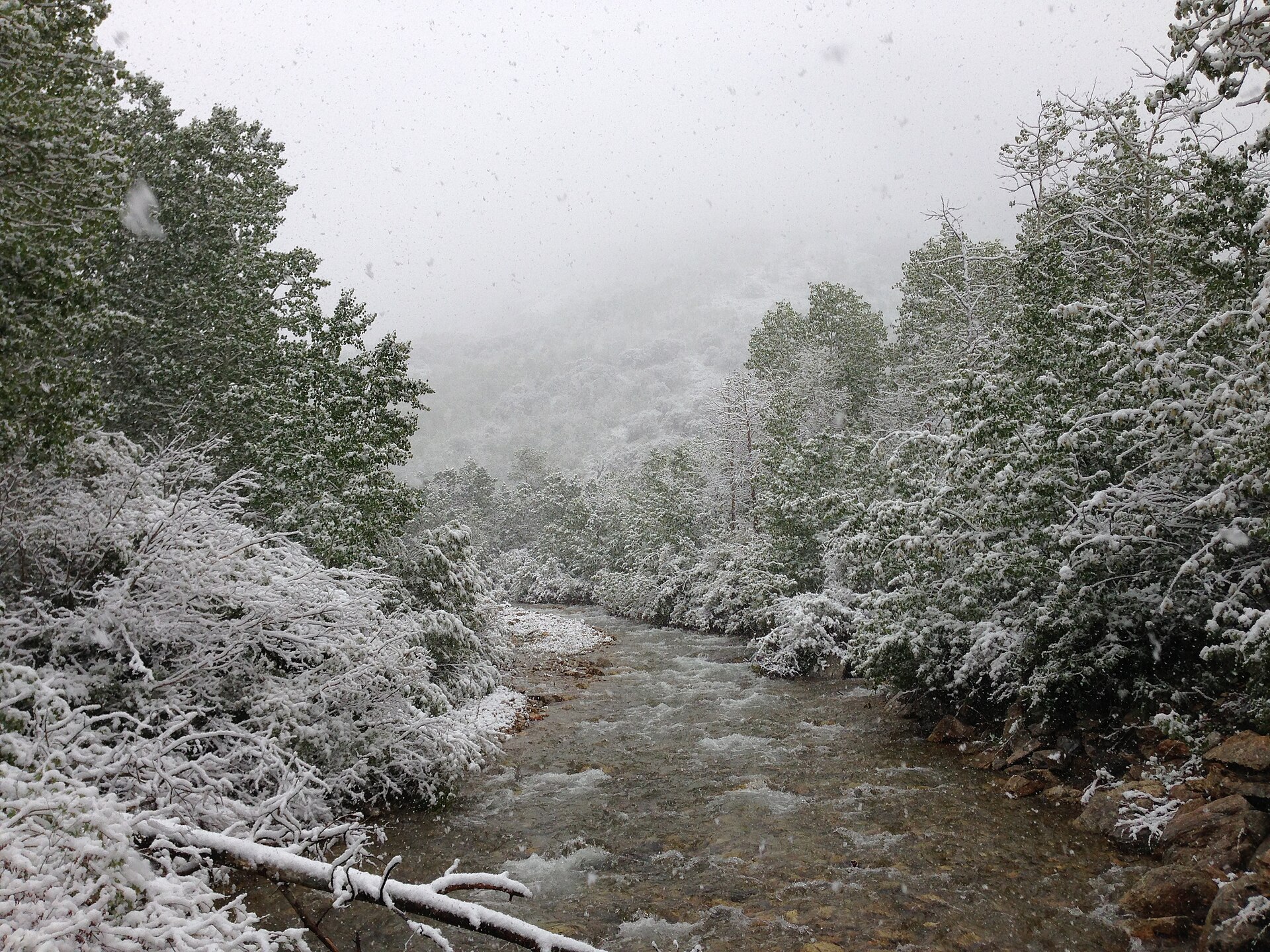 Thomas Canyon Campground