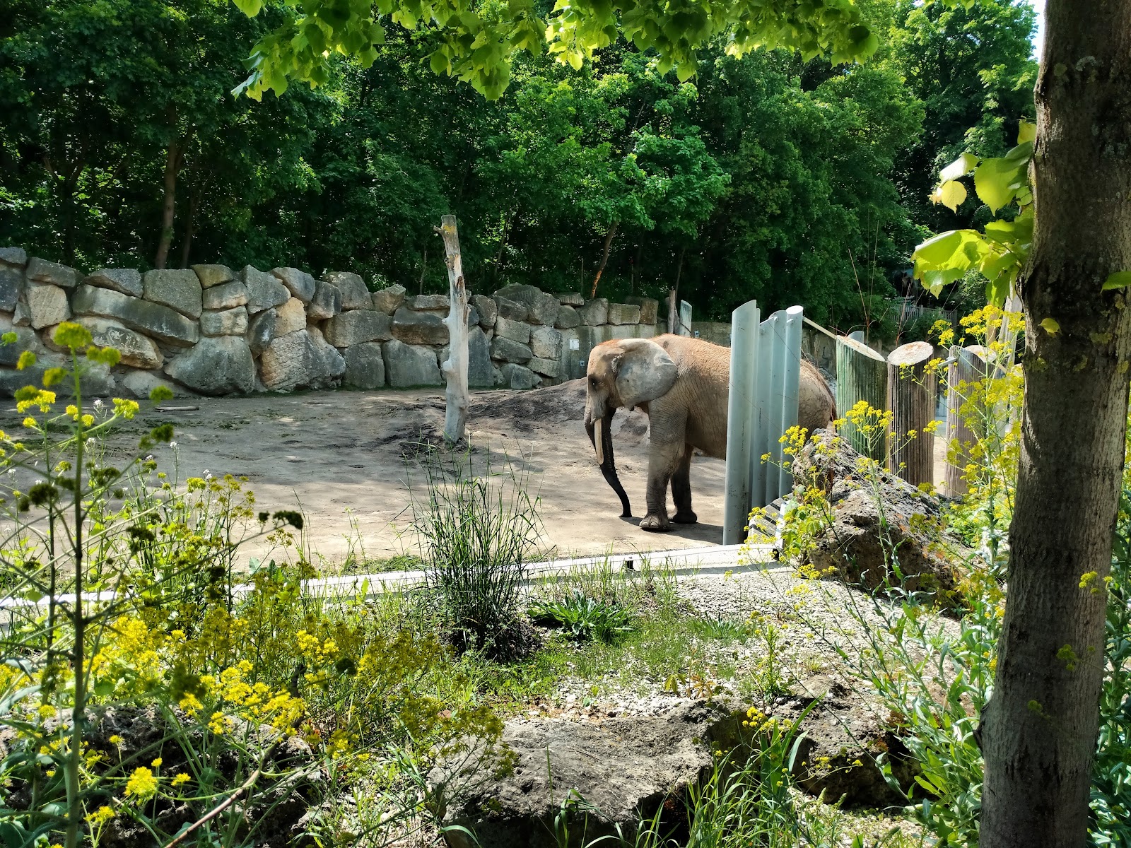 Tiergarten Schönbrunn — Oficiais