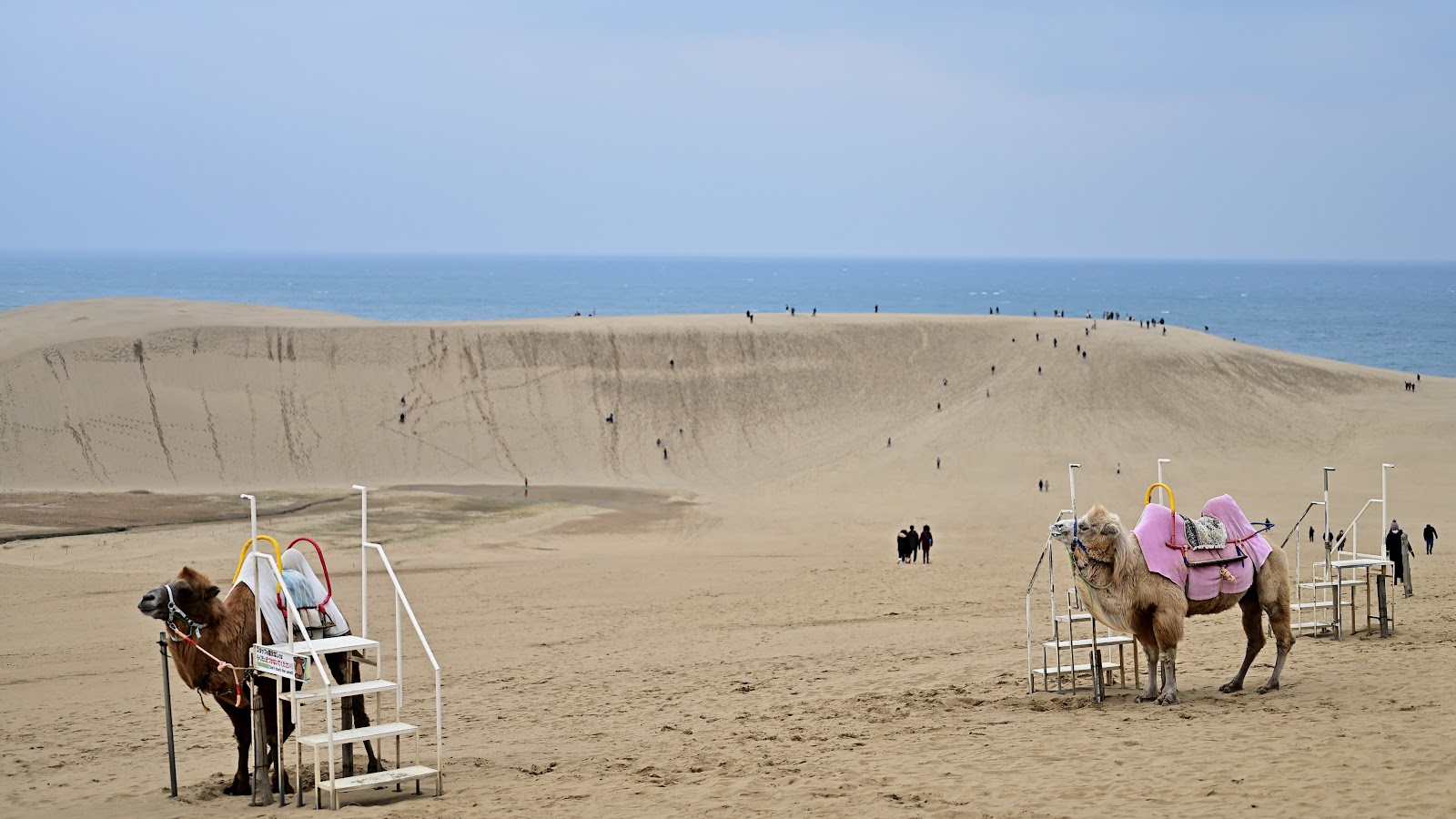 Tottori Sand Dunes — Oficiais