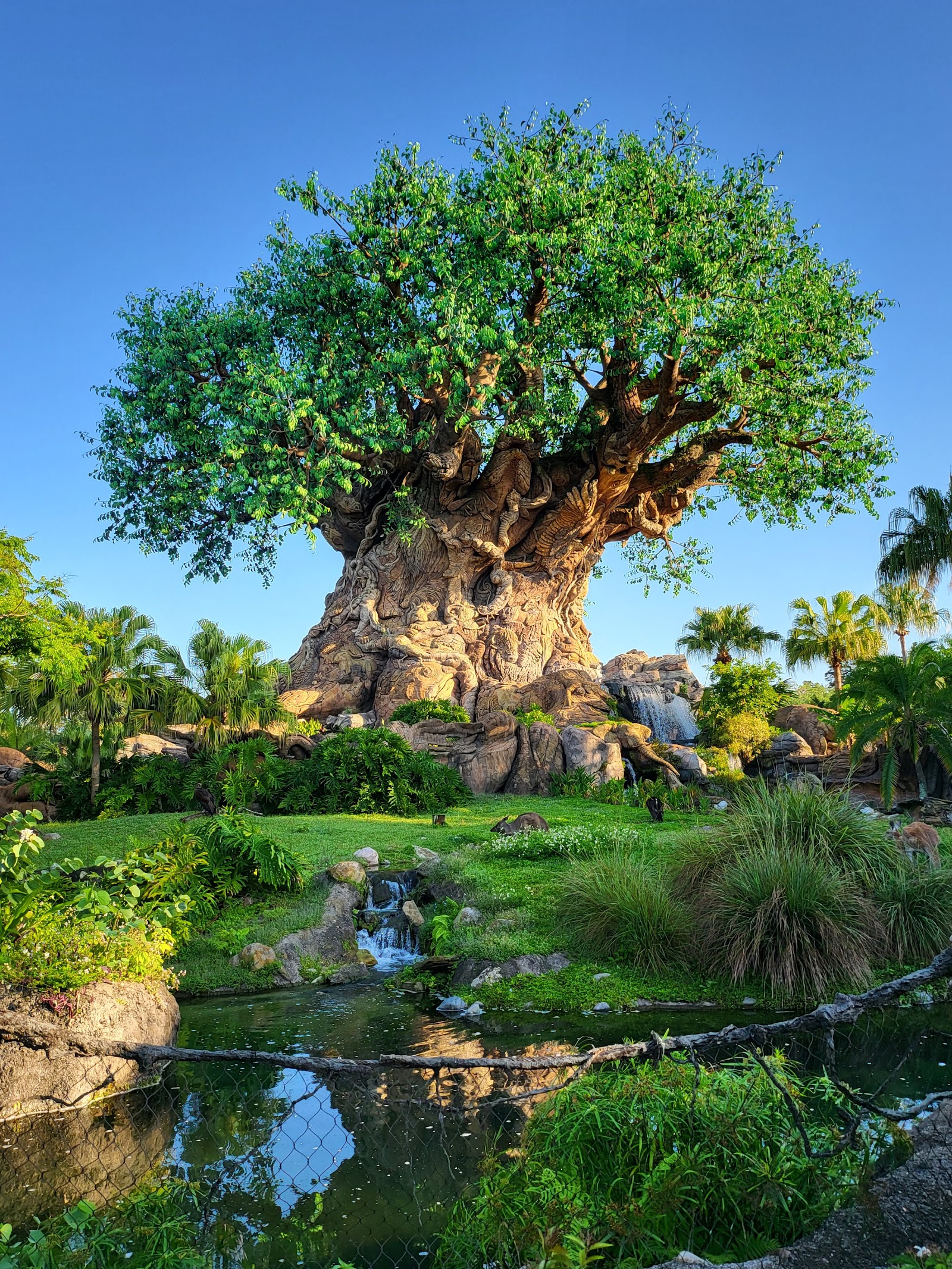 Tree of Life Awakenings — Oficiais