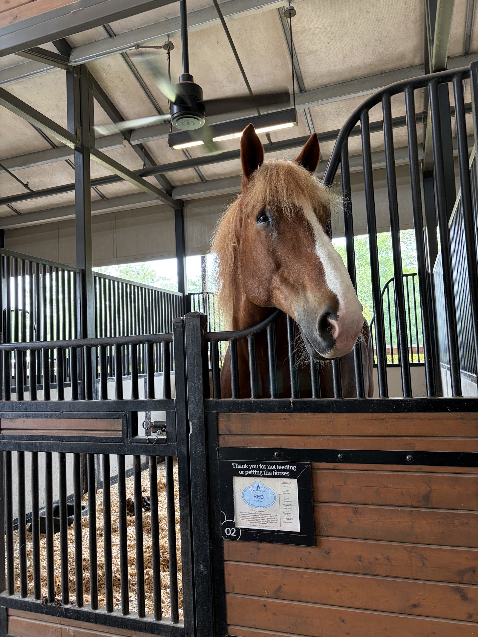 Tri-Circle-D Ranch — Oficiais