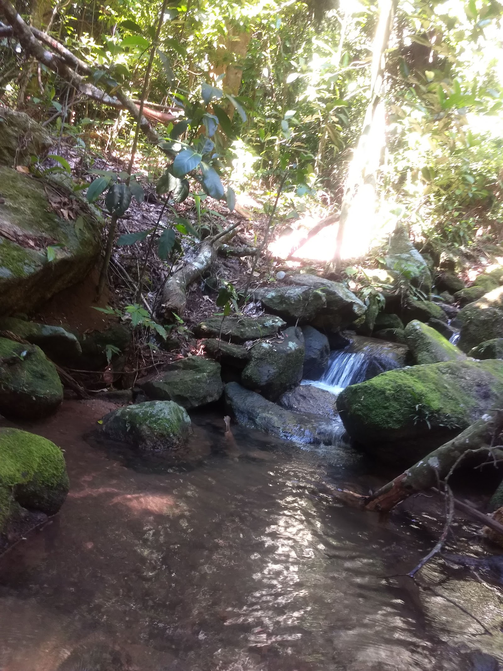 Trilha da Pedra Bonita — Oficiais