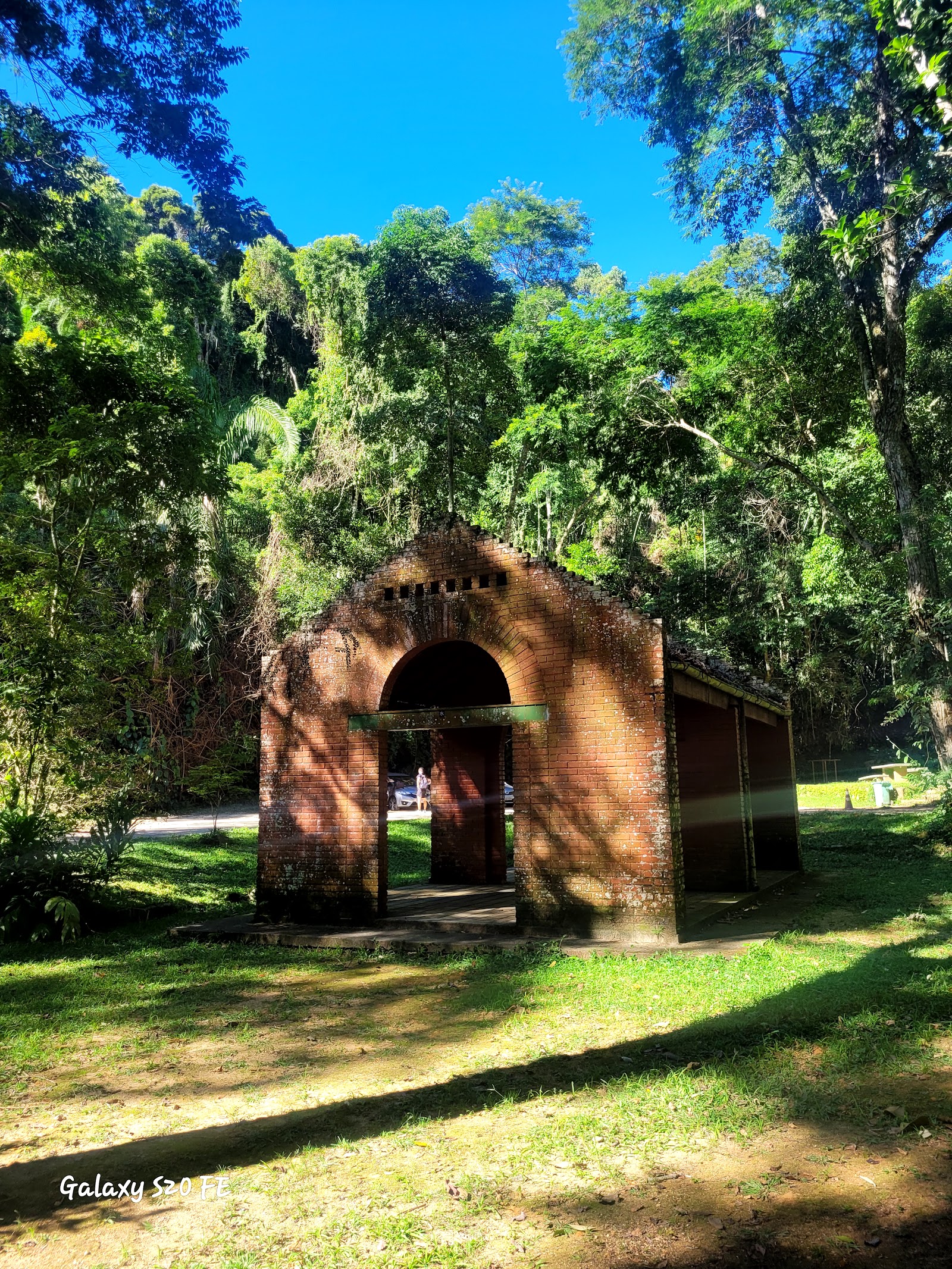 Trilha do Pico da Tijuca