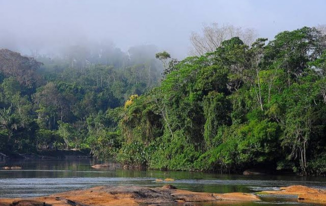 Trilha do Tacacá — Oficiais