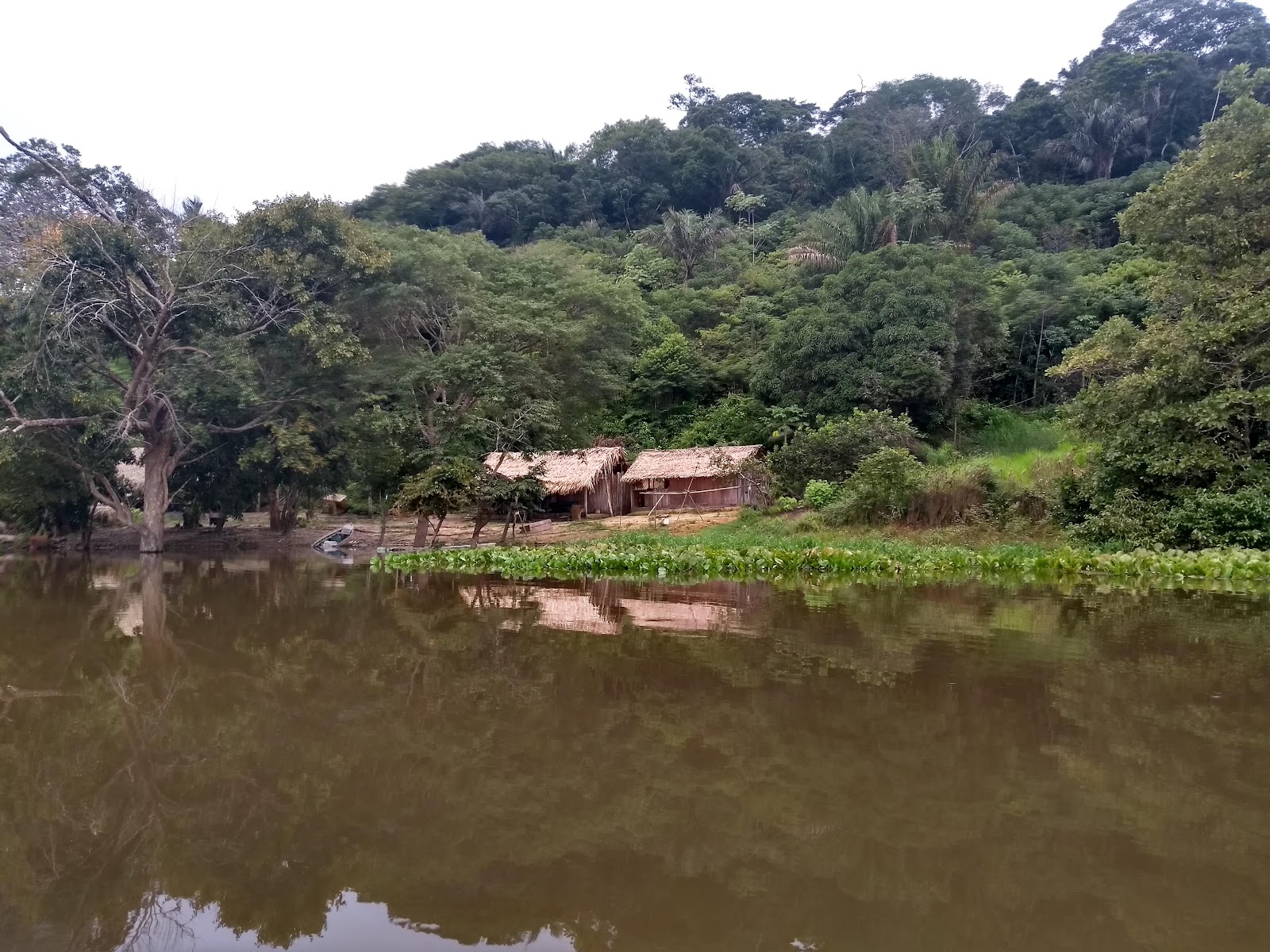 Trilhas de uso público da Floresta Nacional de Altamira