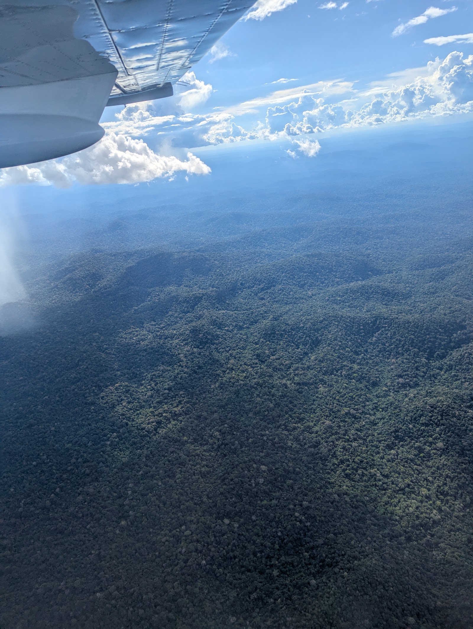 Trilhas de uso público da Floresta Nacional de Altamira — Oficiais