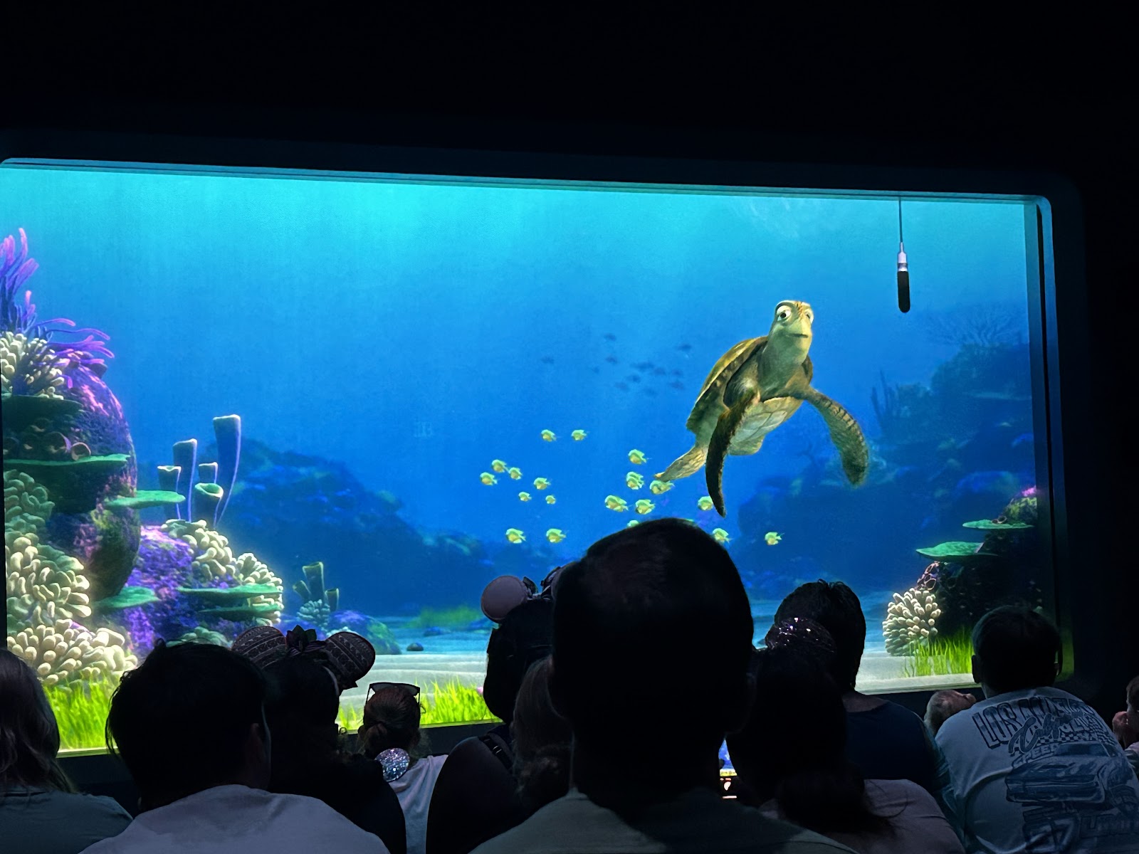 Turtle Talk with Crush — Oficiais
