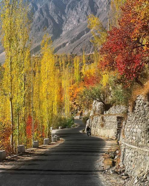 Vale de Hunza — Oficiais