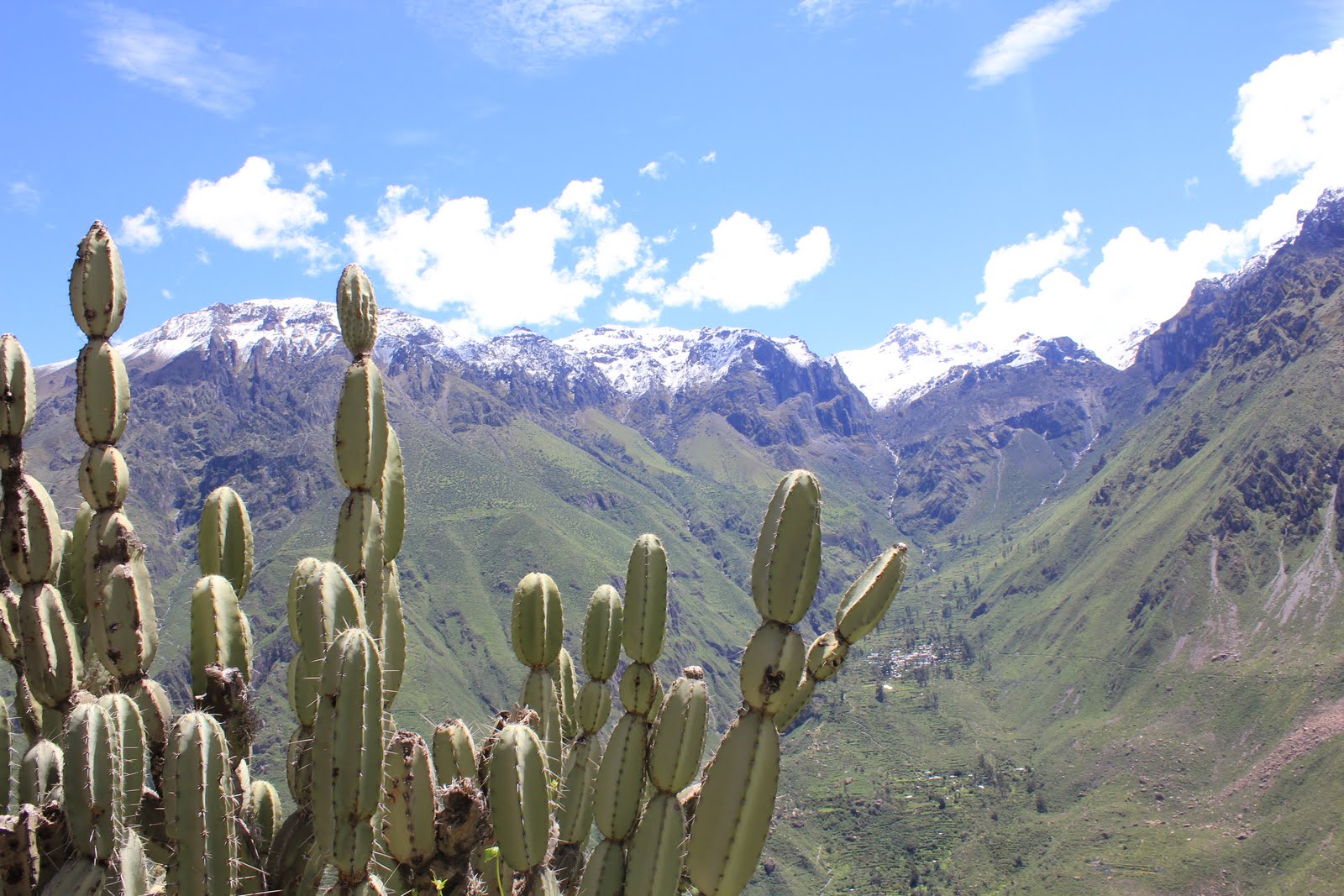 Valle del Colca — Oficiais
