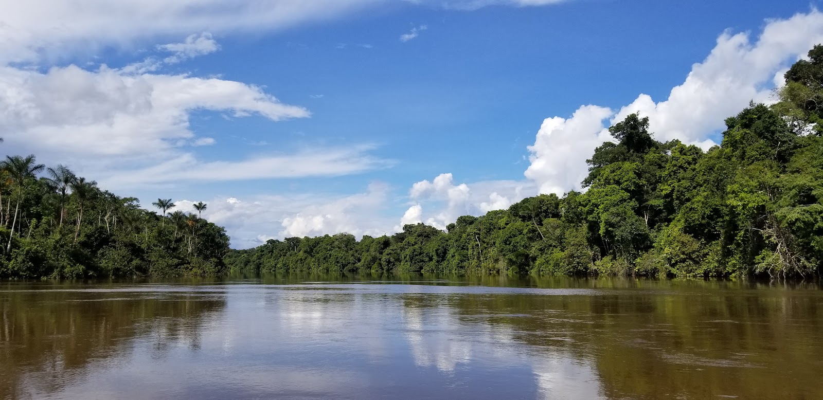 Varillal trail — Oficiais