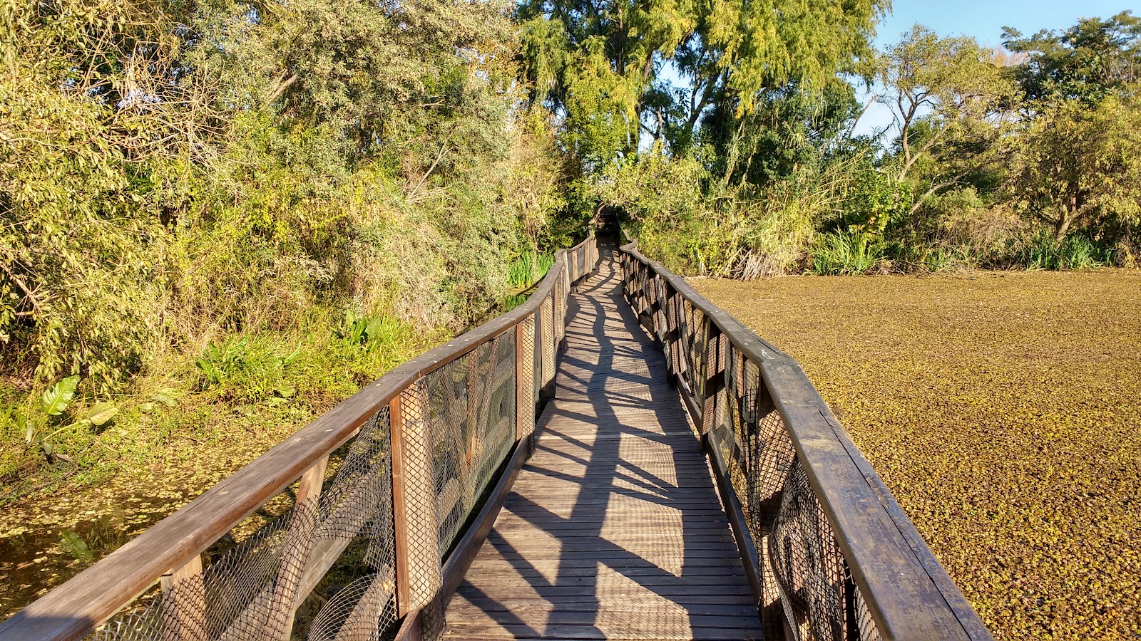 Vicente López Ecological Preserve
