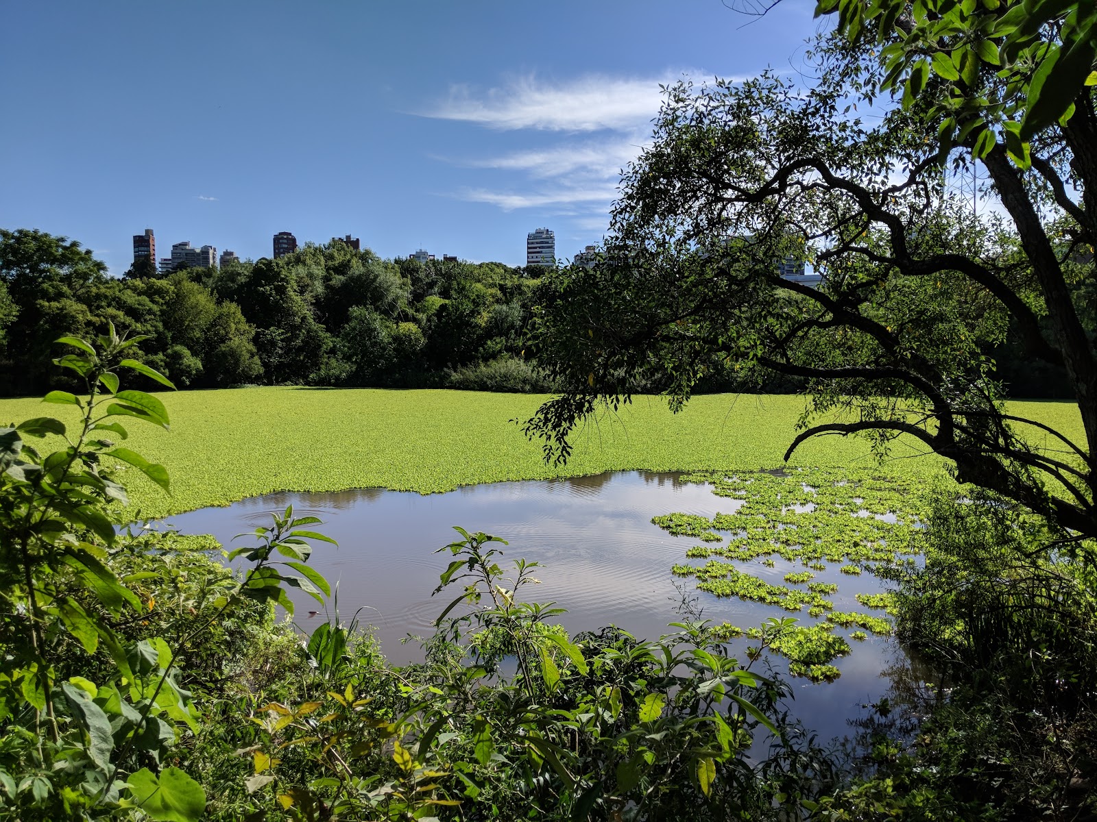 Vicente López Ecological Preserve — Oficiais