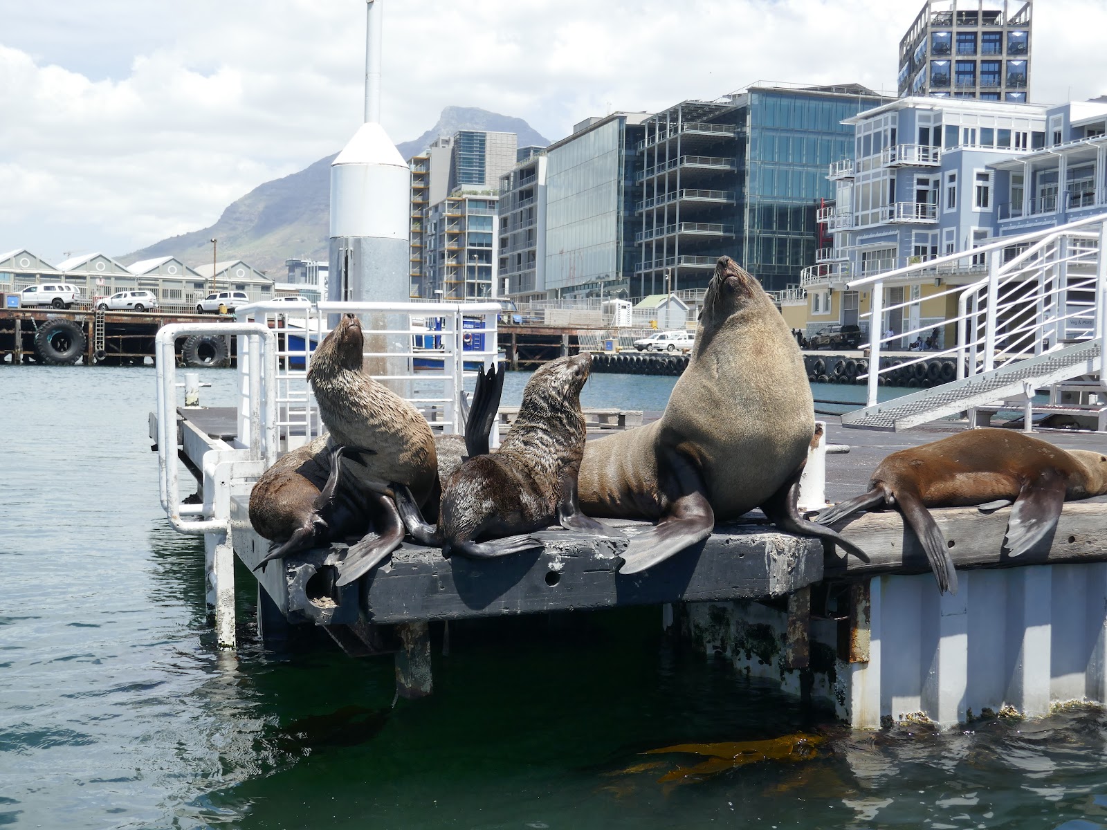 Victoria & Alfred Waterfront — Oficiais