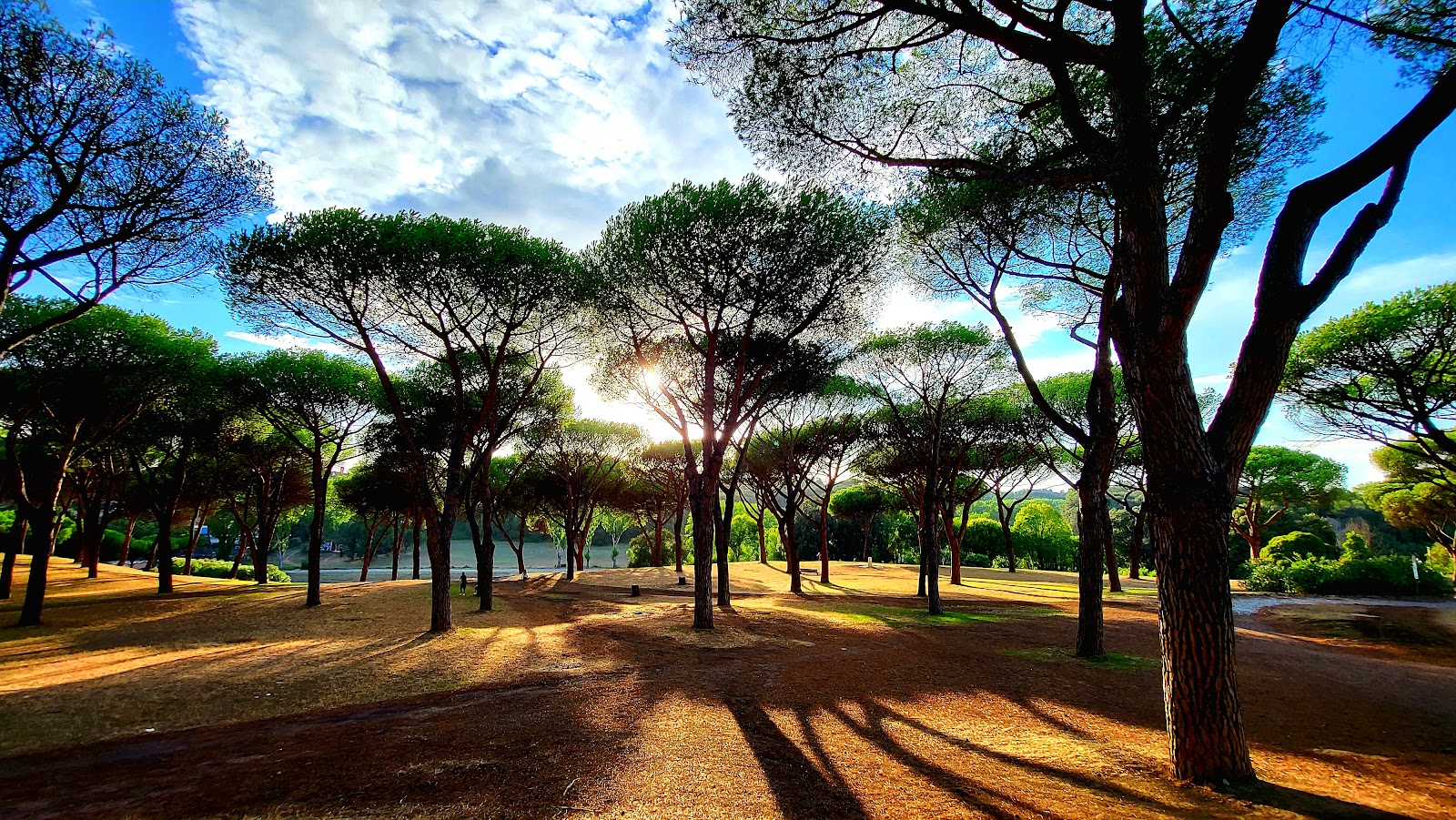 Villa Doria Pamphilj — Oficiais